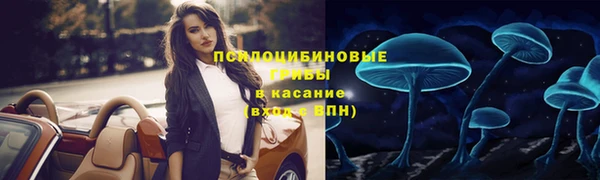 шишки Алексеевка