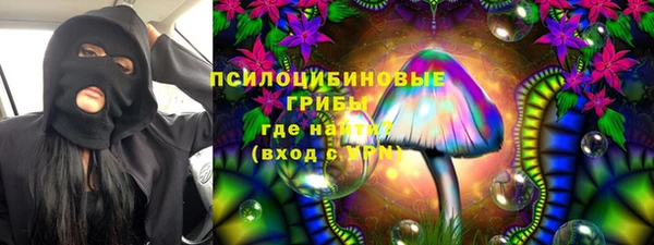 шишки Алексеевка