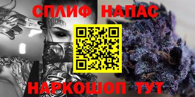 сатива Усть-Джегута
