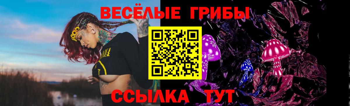 Псилоцибиновые грибы Magic Shrooms  Вход с VPN  Киржач  Галлюциногенные грибы Magic Shrooms 